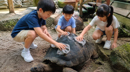 動物お世話体験プログラム「ファームレンジャー」